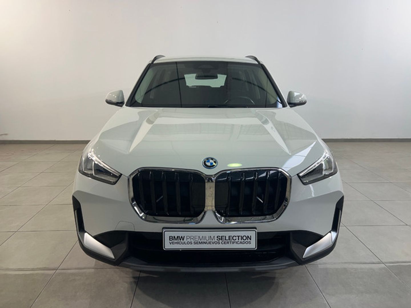 BMW X1 xDrive25e 180 kW (245 CV)