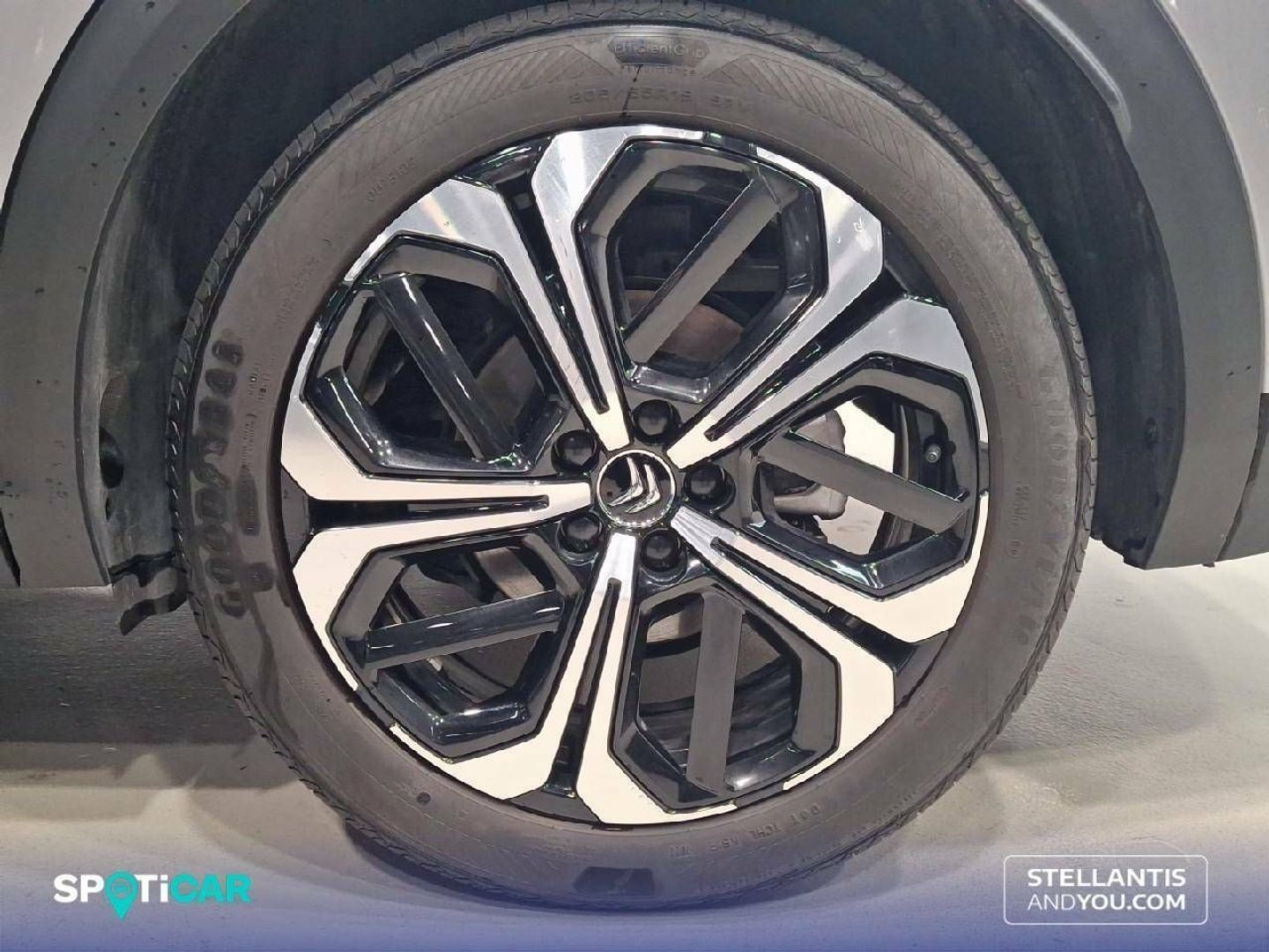 Citroen C5 X PureTech 130 S&S Shine EAT8 96 kW (130 CV)