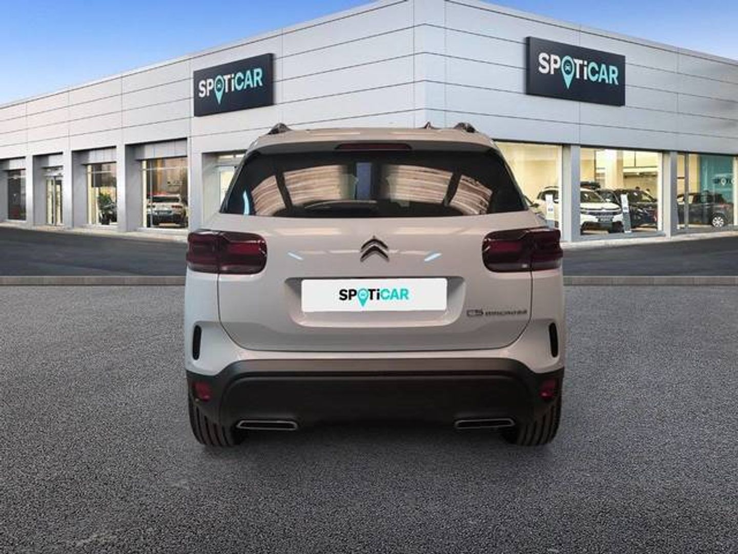 Citroen C5 Aircross BlueHDi 130 S&S Max EAT8 96 kW (131 CV)