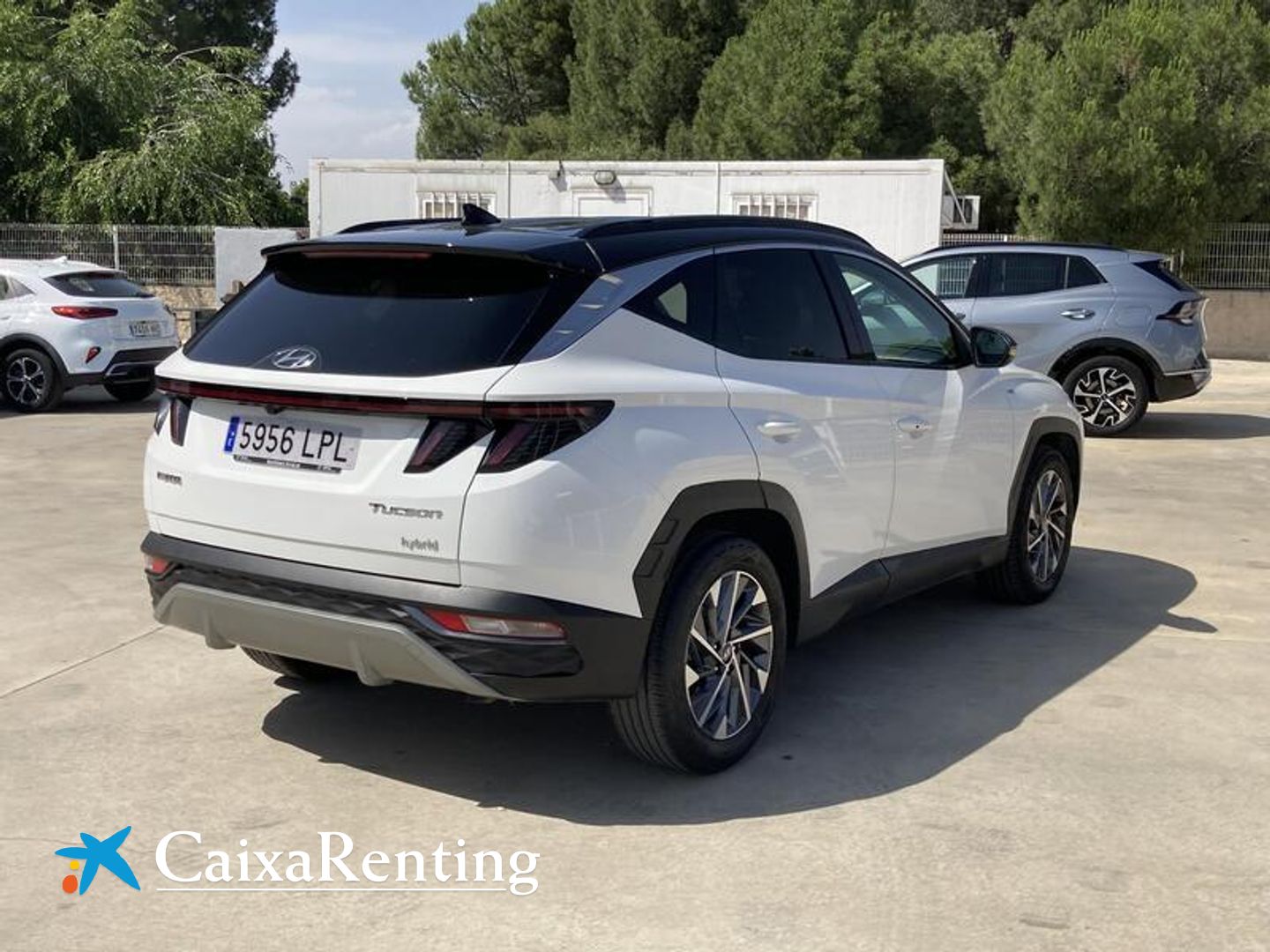 Hyundai Tucson 1.6 TGDI 48V Tecno 2C 110 kW (150 CV)