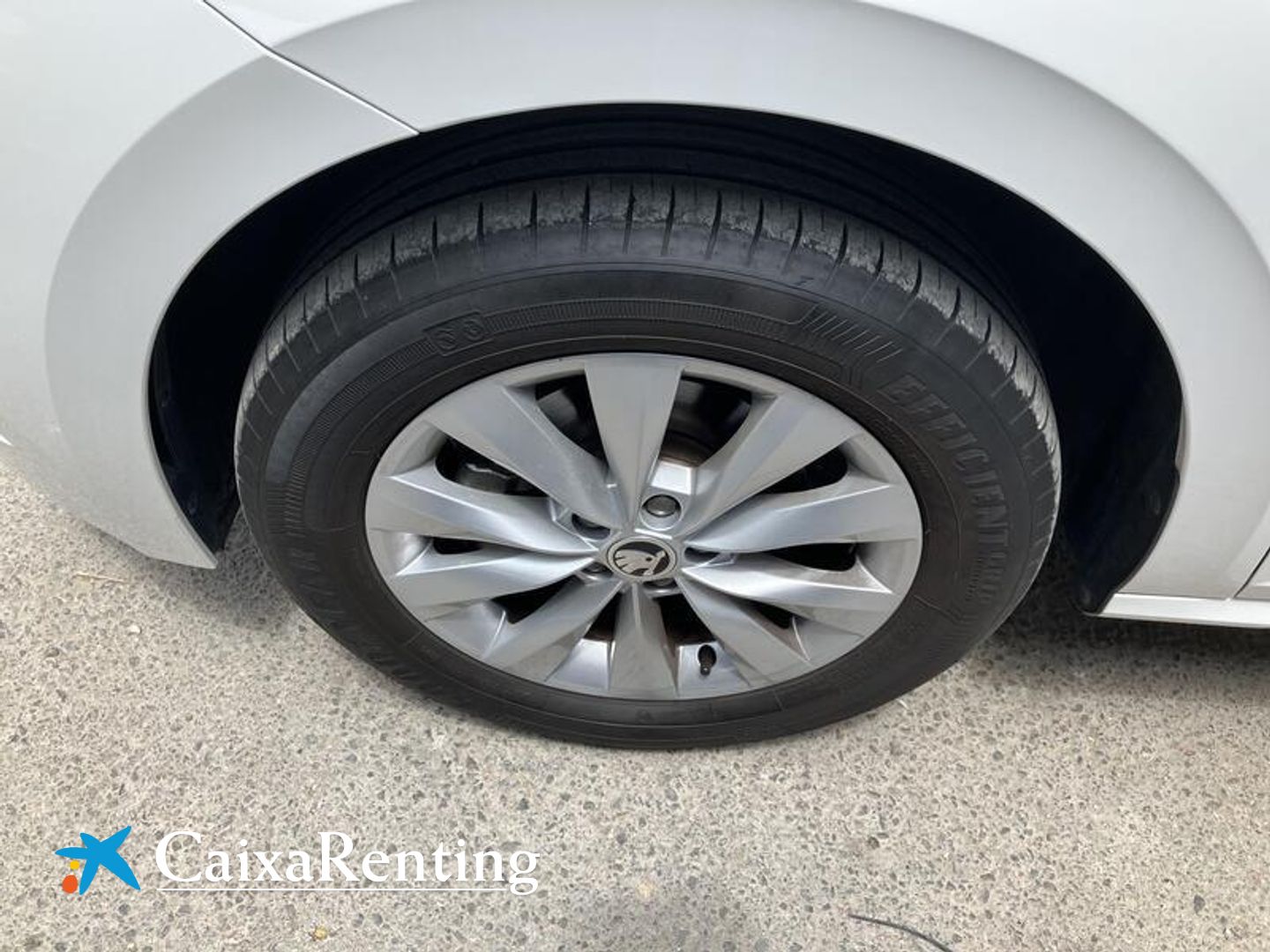 Skoda Kamiq 1.0 TSI Ambition DSG 81 kW (110 CV)
