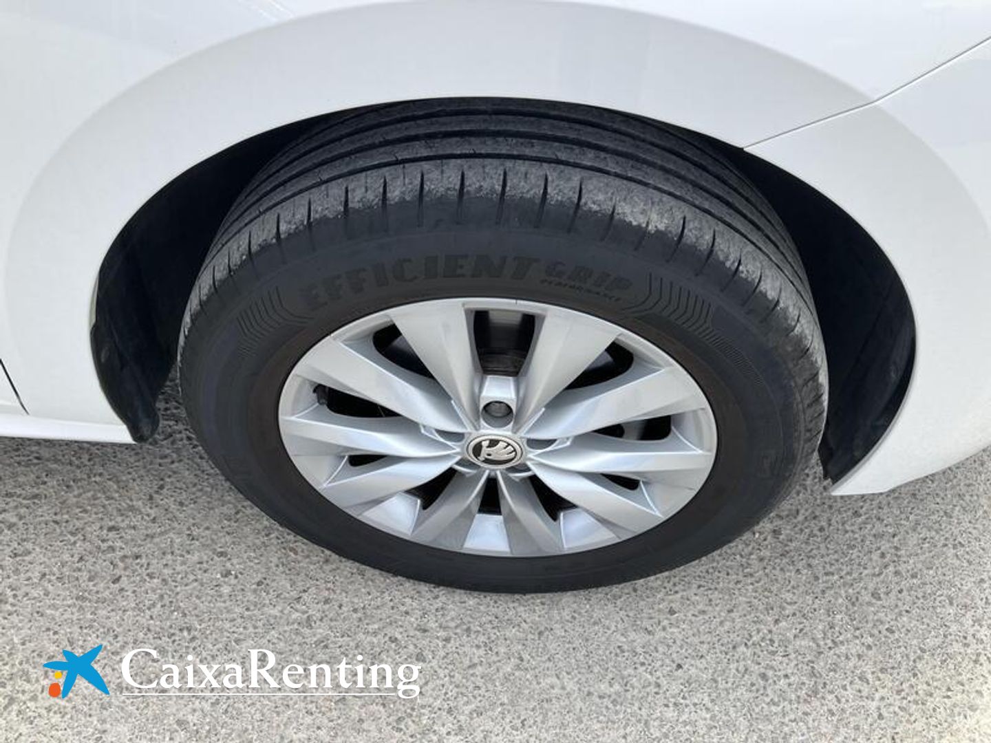 Skoda Kamiq 1.0 TSI Ambition DSG 81 kW (110 CV)