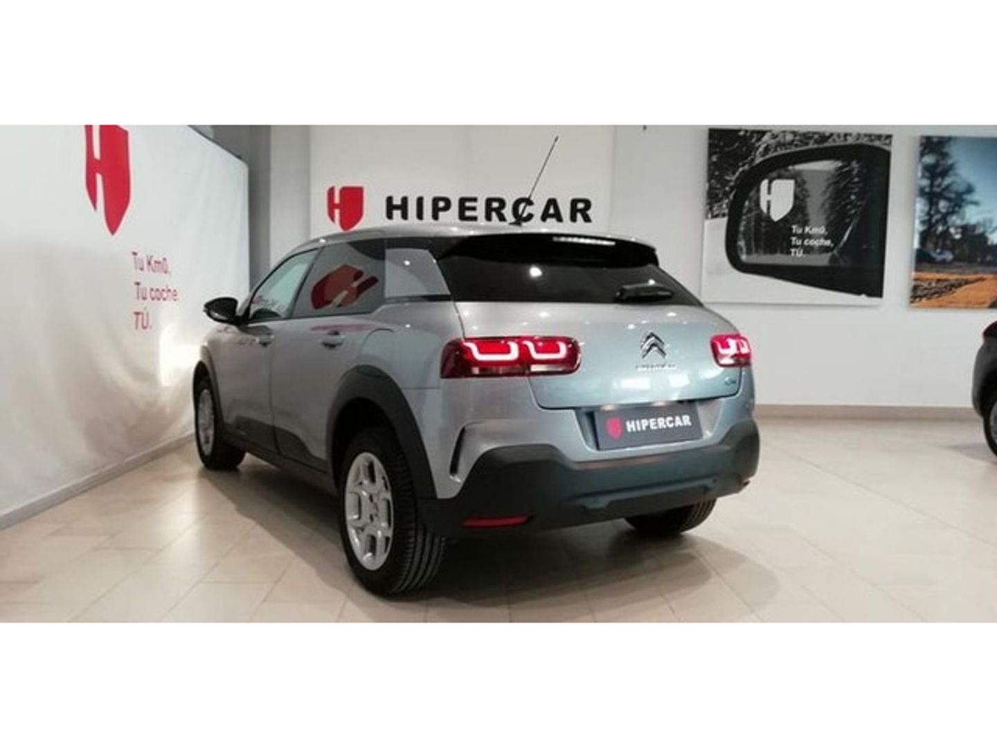 Citroen C4 Cactus PureTech 110 S&S Shine 81 kW (110 CV)