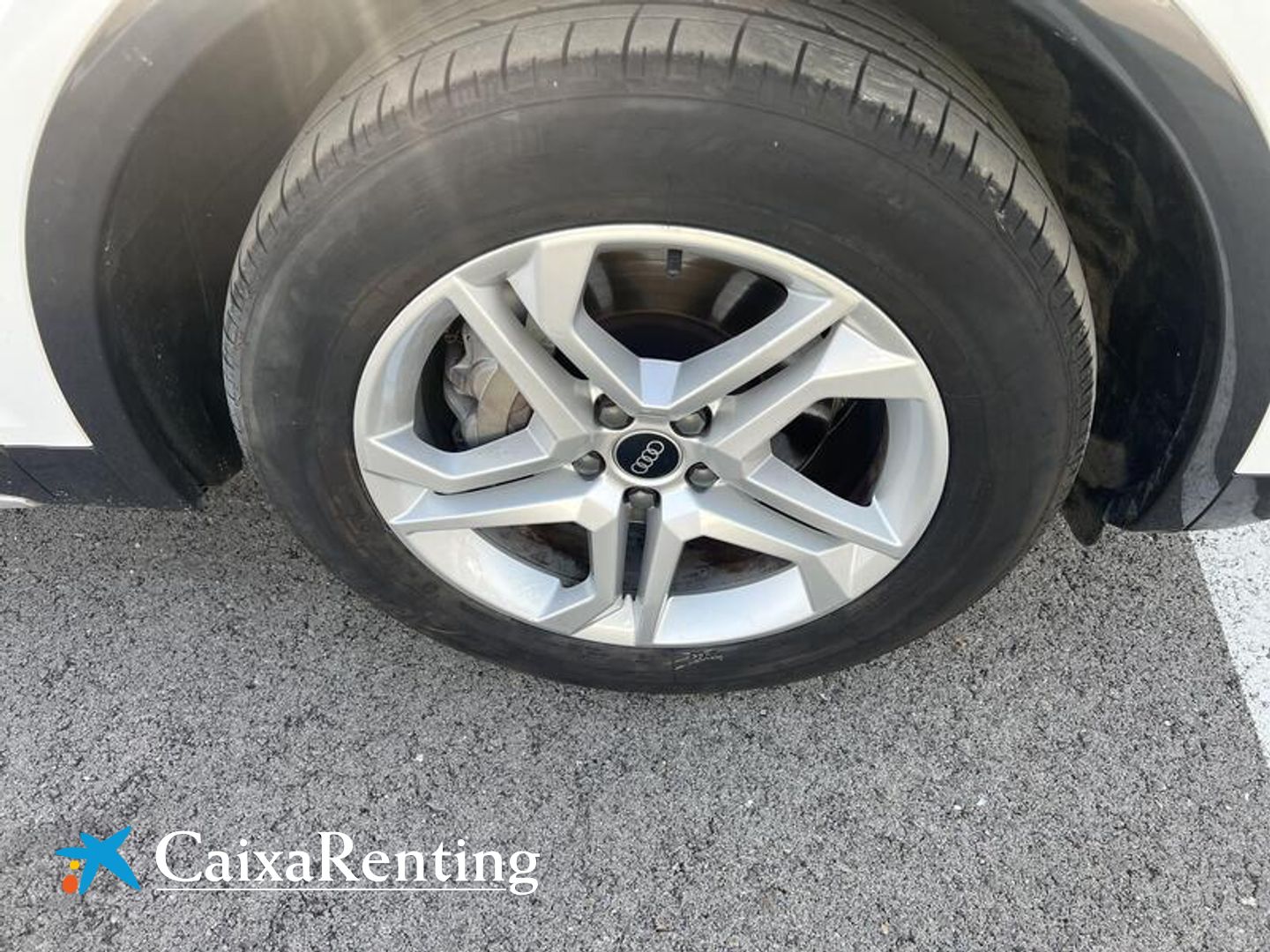 Audi Q5 Advanced 35 TDI 120 kW (163 CV) S tronic