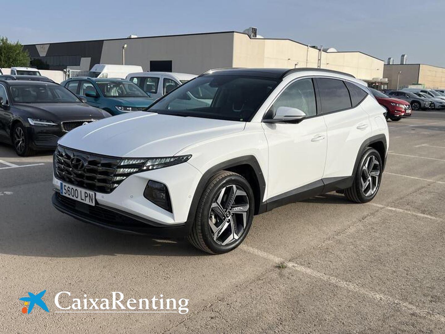 Hyundai Tucson 1.6 TGDI PHEV Style 4x4 Auto 195 kW (265 CV) Blanco SUV