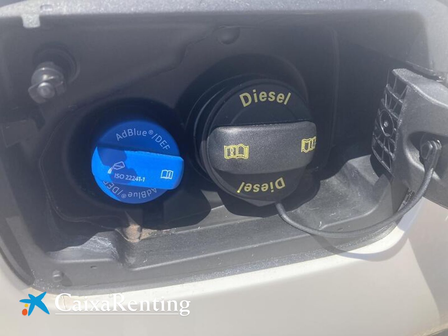 SEAT Ibiza 1.6 TDI Reference 70 kW (95 CV)