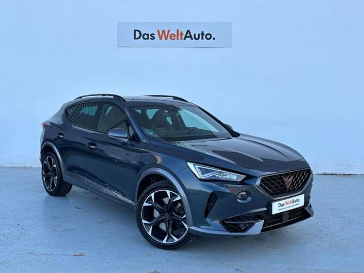 CUPRA Formentor 2.0 TSI VZ 4Drive DSG 228 kW (310 CV) Gris All Terrain / Pick-up