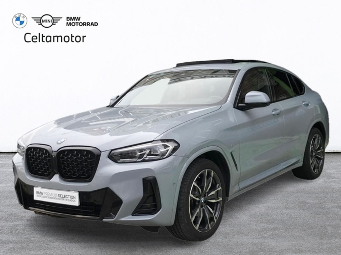 BMW X4 xDrive20d xLine 140 kW (190 CV) Gris SUV