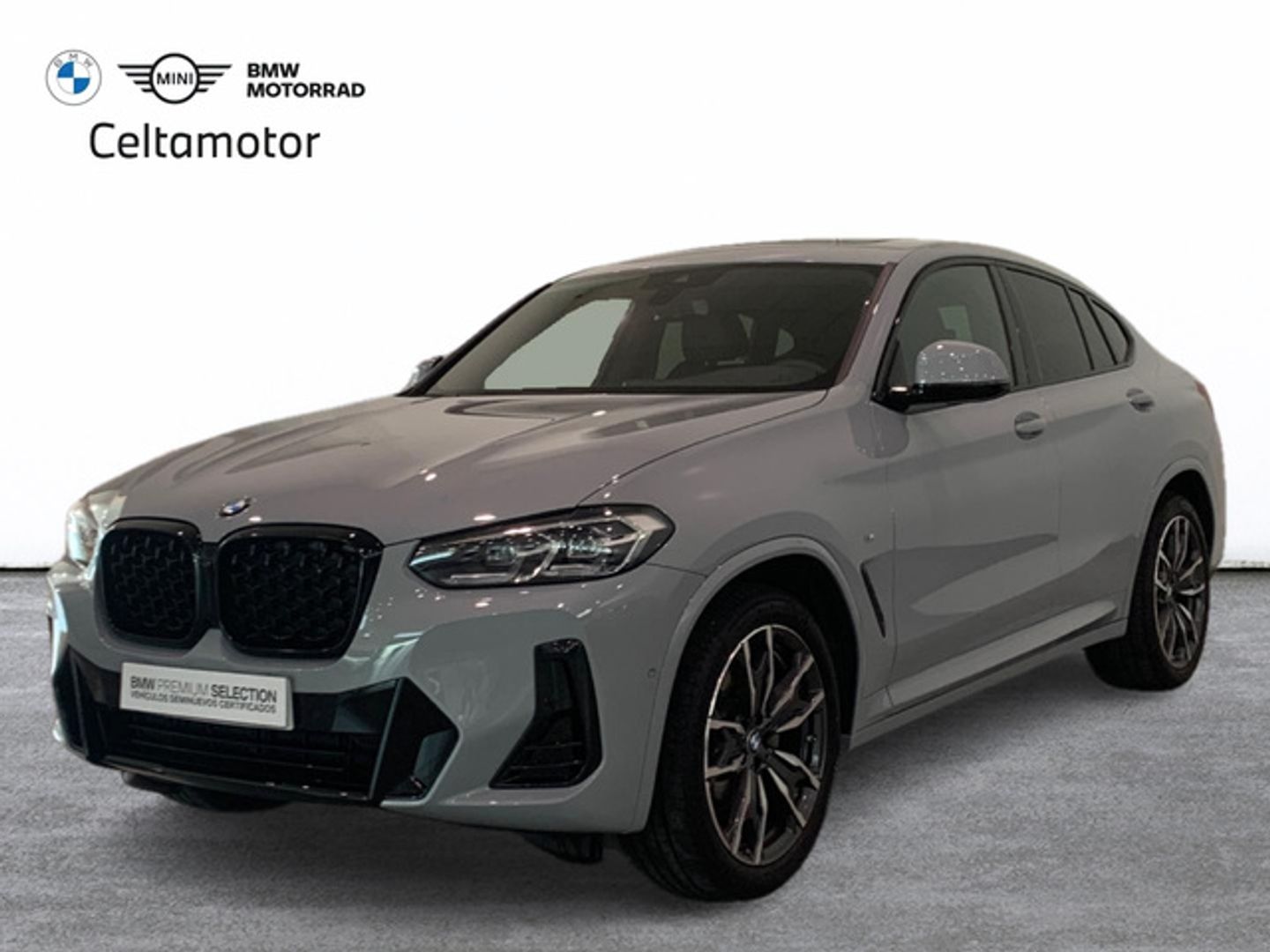 BMW X4 xDrive20d xLine 140 kW (190 CV) Gris SUV