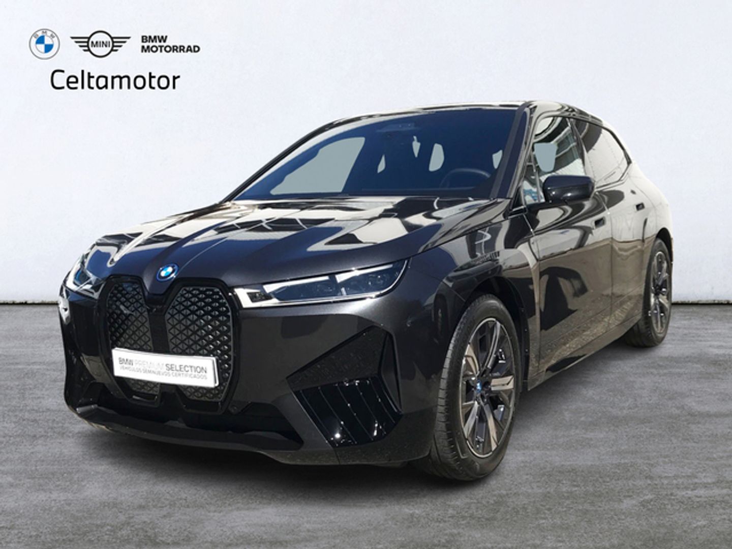 BMW iX xDrive40 240 kW (326 CV) Gris SUV