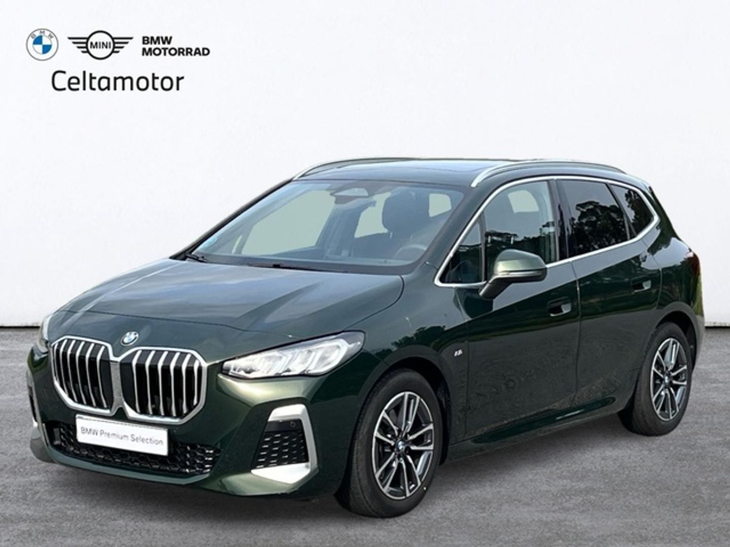 BMW Serie 2 218i Active Tourer 100 kW (136 CV) Verde Minivan