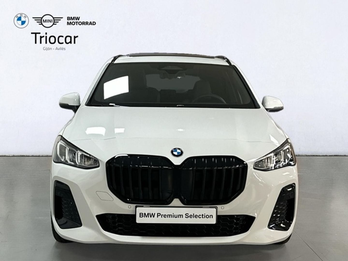 BMW Serie 2 218d Active Tourer 110 kW (150 CV)
