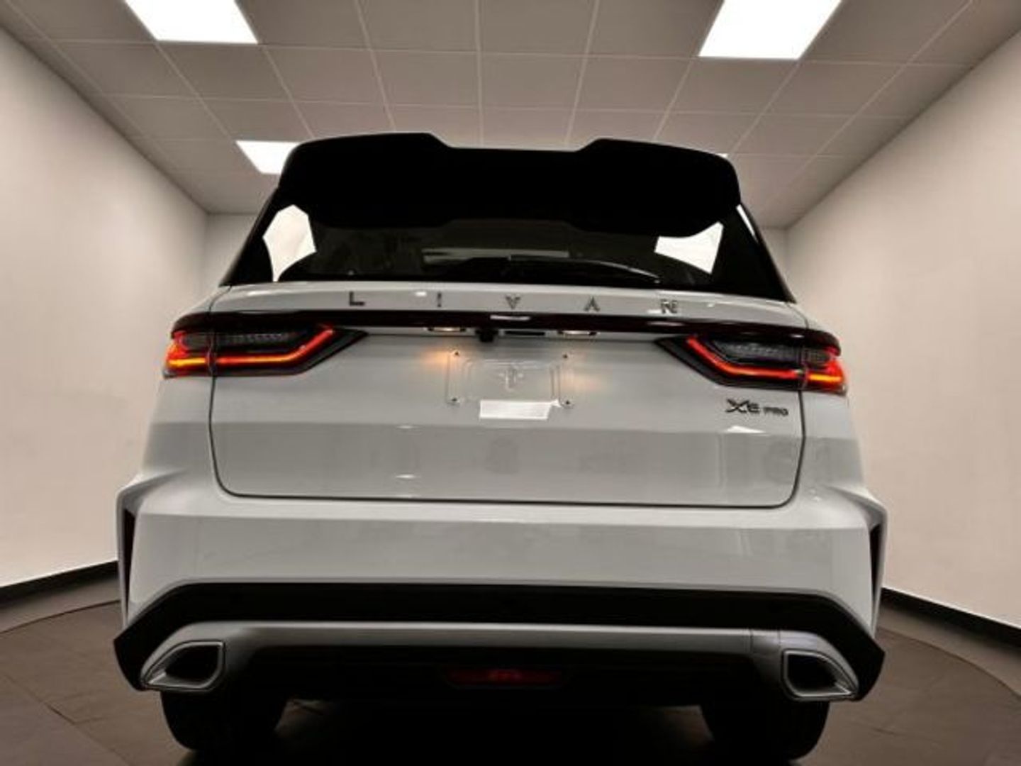 LIVAN X6 Pro 128 kW (174 CV)