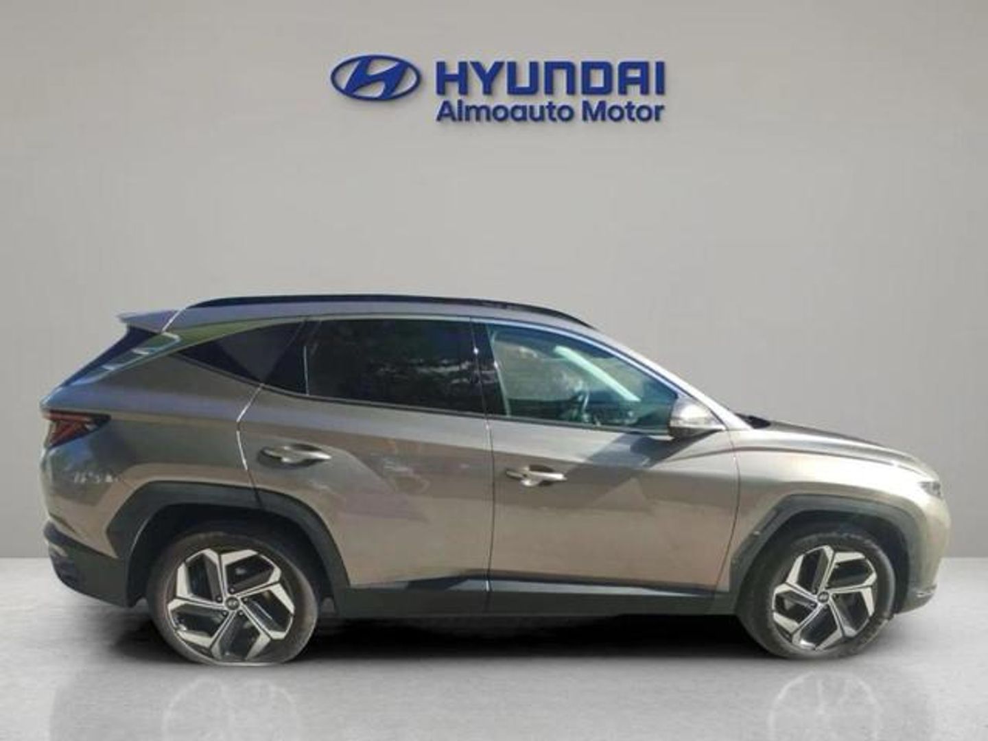 Hyundai Tucson 1.6 TGDI HEV Style 4x4 Auto 169 kW (230 CV)