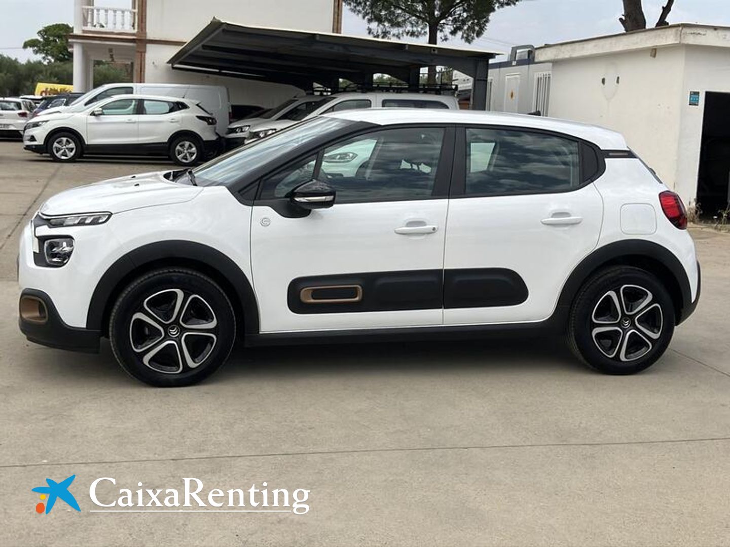 Citroen C3 BlueHDi 100 S&S You! 75 kW (102 CV)