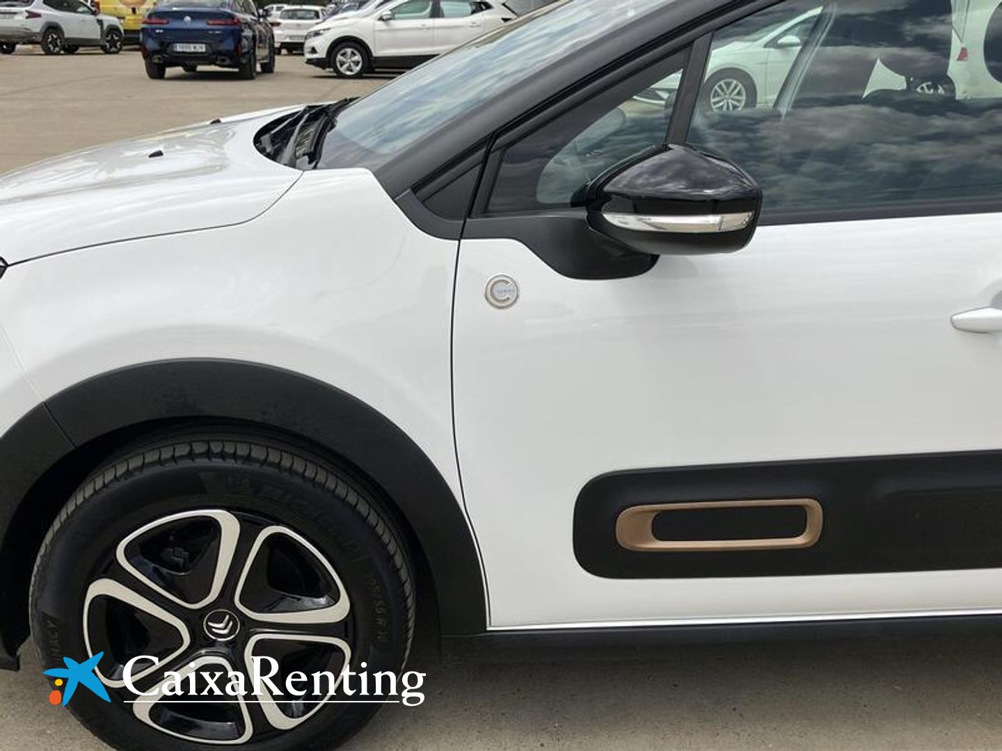 Citroen C3 BlueHDi 100 S&S You! 75 kW (102 CV)