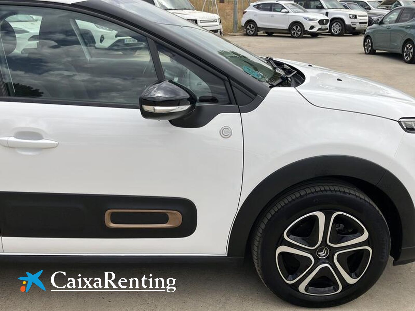Citroen C3 BlueHDi 100 S&S You! 75 kW (102 CV)