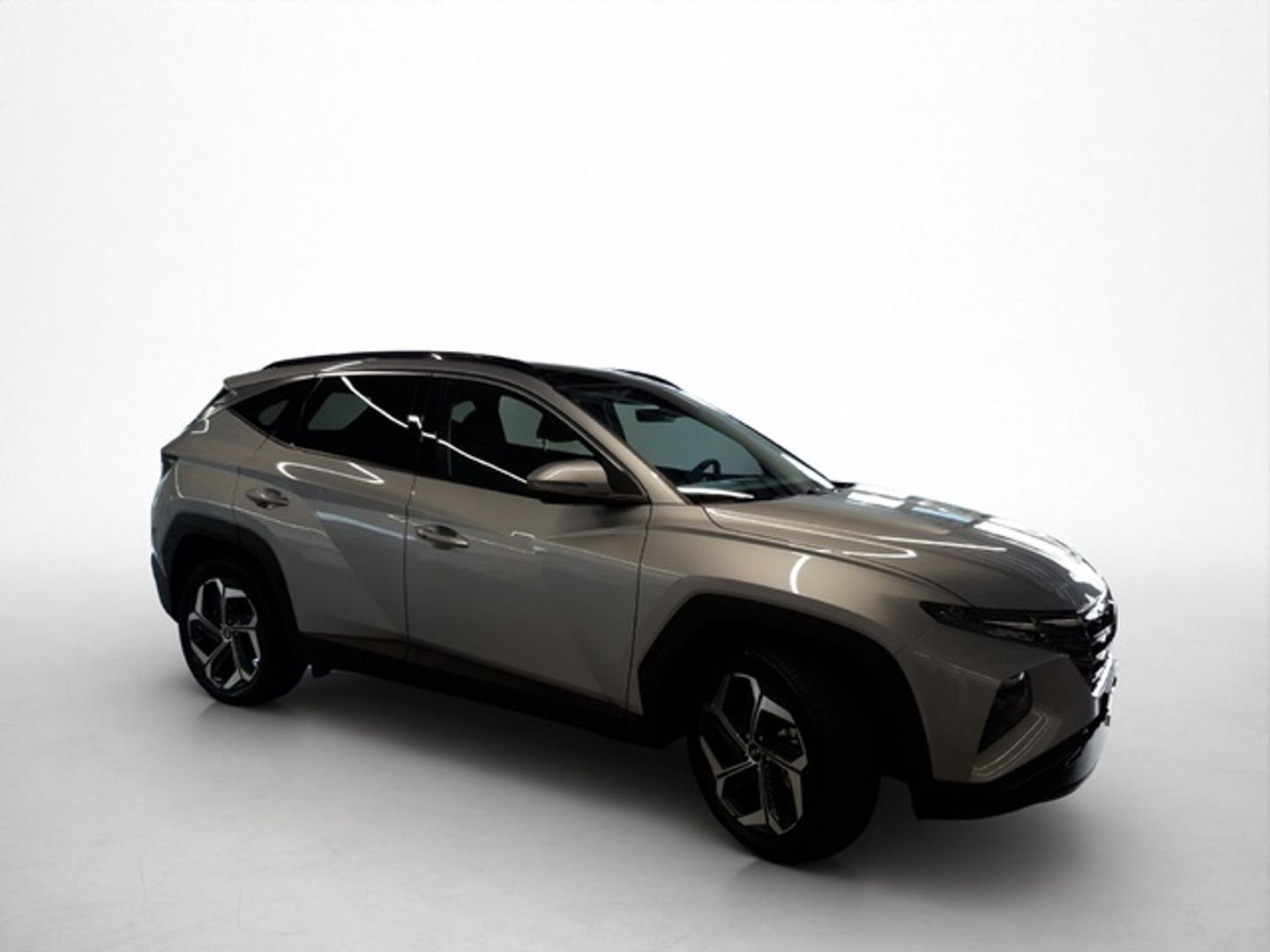 Hyundai Tucson 1.6 TGDI HEV Tecno Sky Auto 169 kW (230 CV)