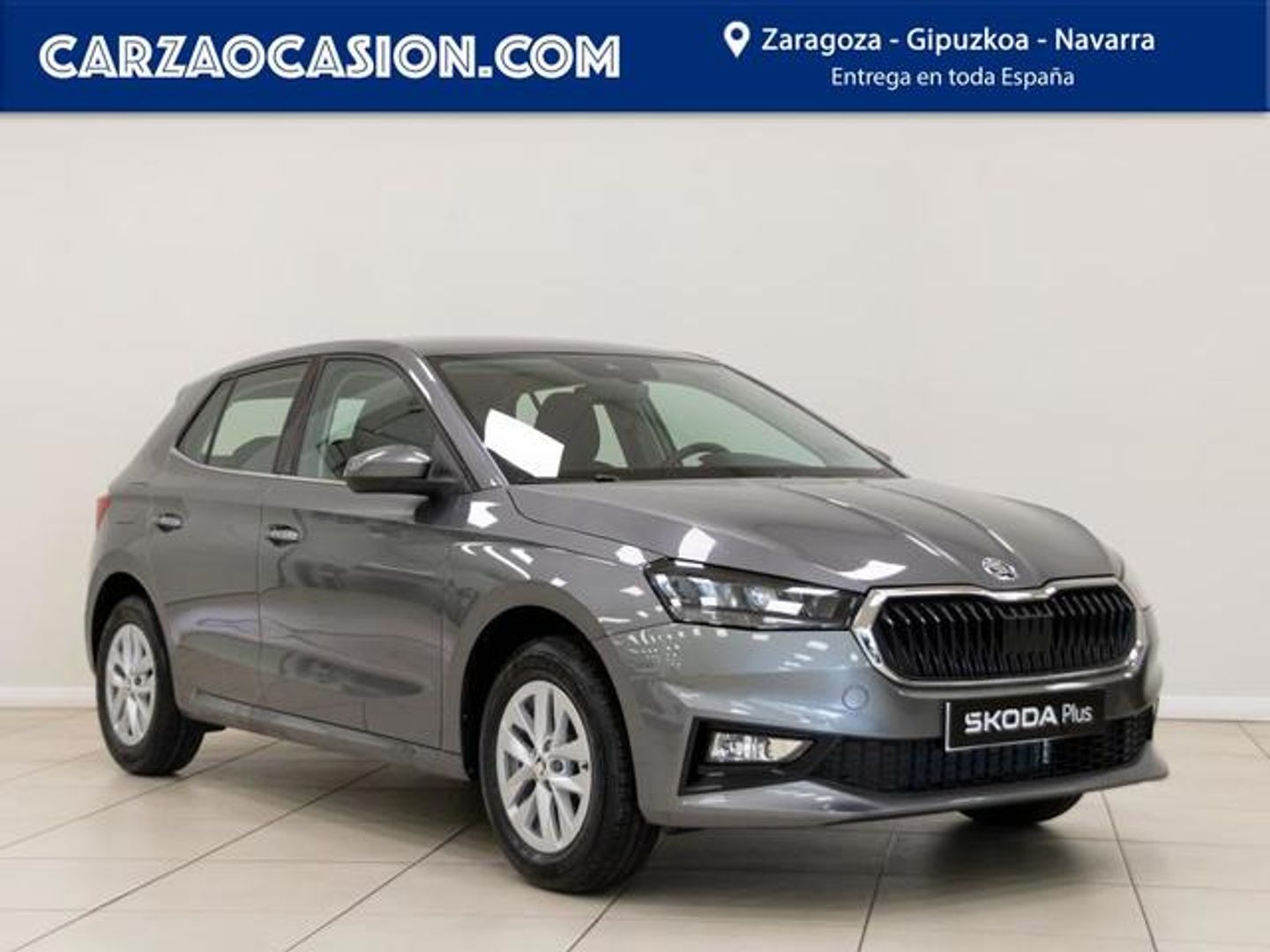 Skoda Fabia 1.0 TSI Selection 70 kW (95 CV) Gris Sedan