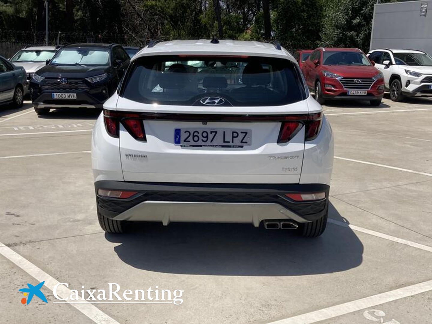 Hyundai Tucson 1.6 CRDI 48V Maxx DCT 100 kW (136 CV)