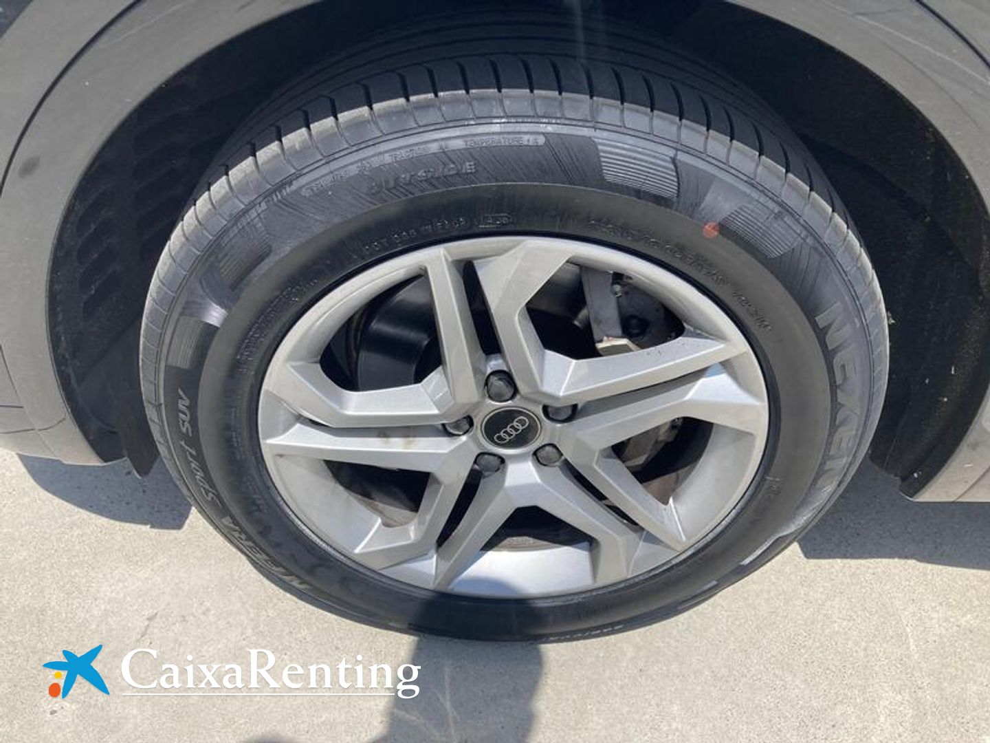 Audi Q5 Advanced 35 TDI 120 kW (163 CV) S tronic