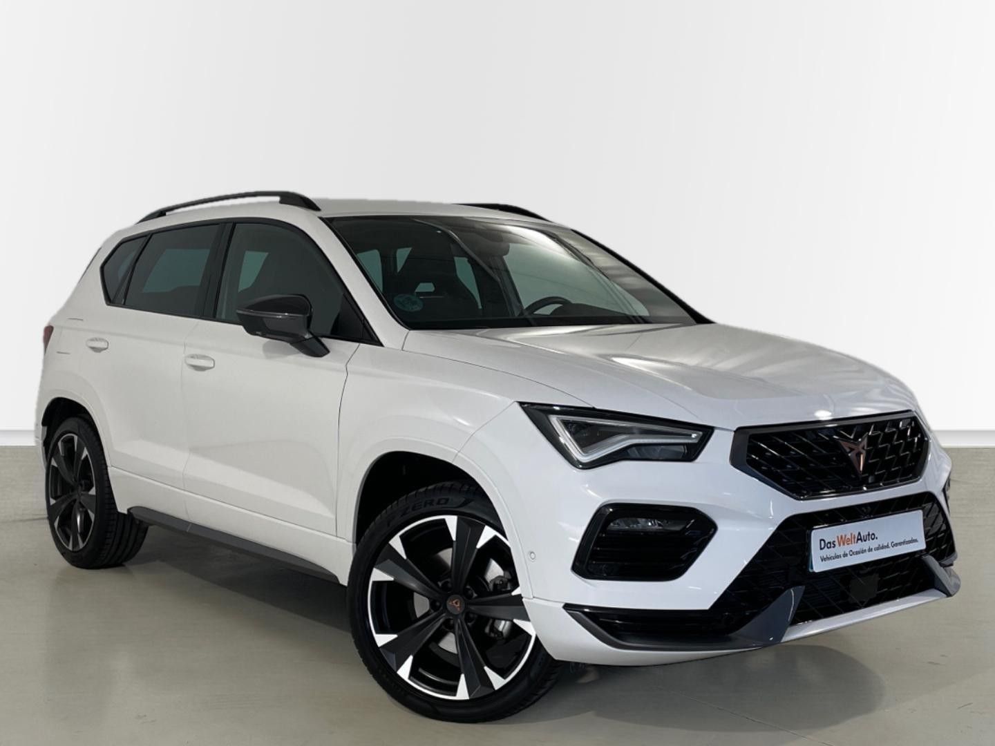 CUPRA Ateca 2.0 TSI 4Drive DSG 140 kW (190 CV)