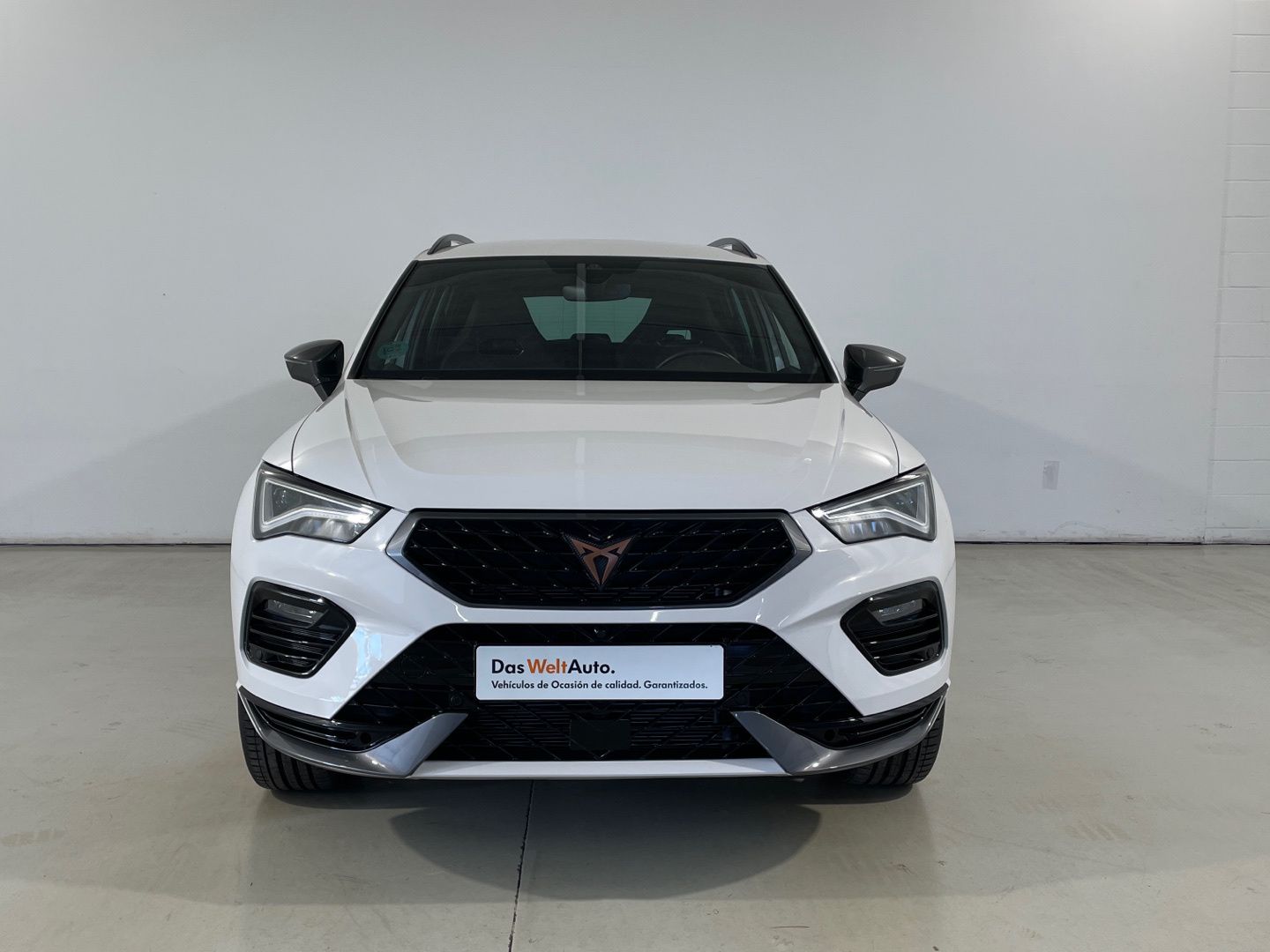 CUPRA Ateca 2.0 TSI 4Drive DSG 140 kW (190 CV)
