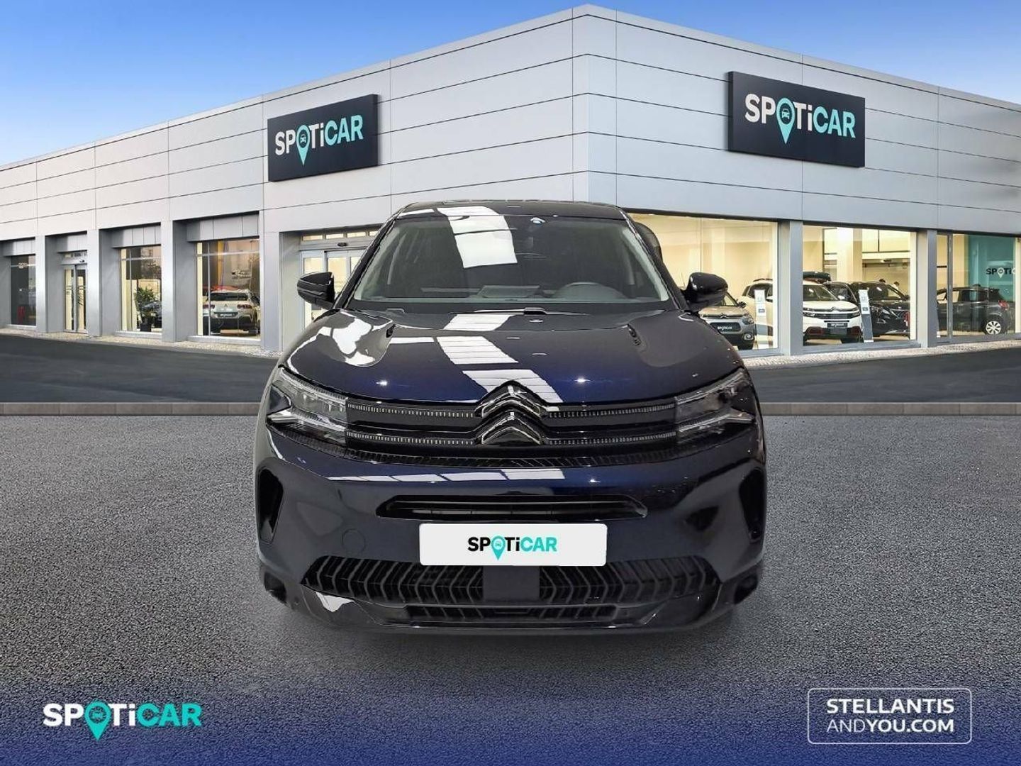Citroen C5 Aircross PureTech 130 S&S Plus 96 kW (131 CV)