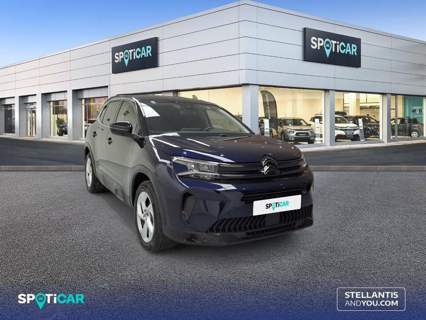 Citroen C5 Aircross PureTech 130 S&S Plus 96 kW (131 CV)