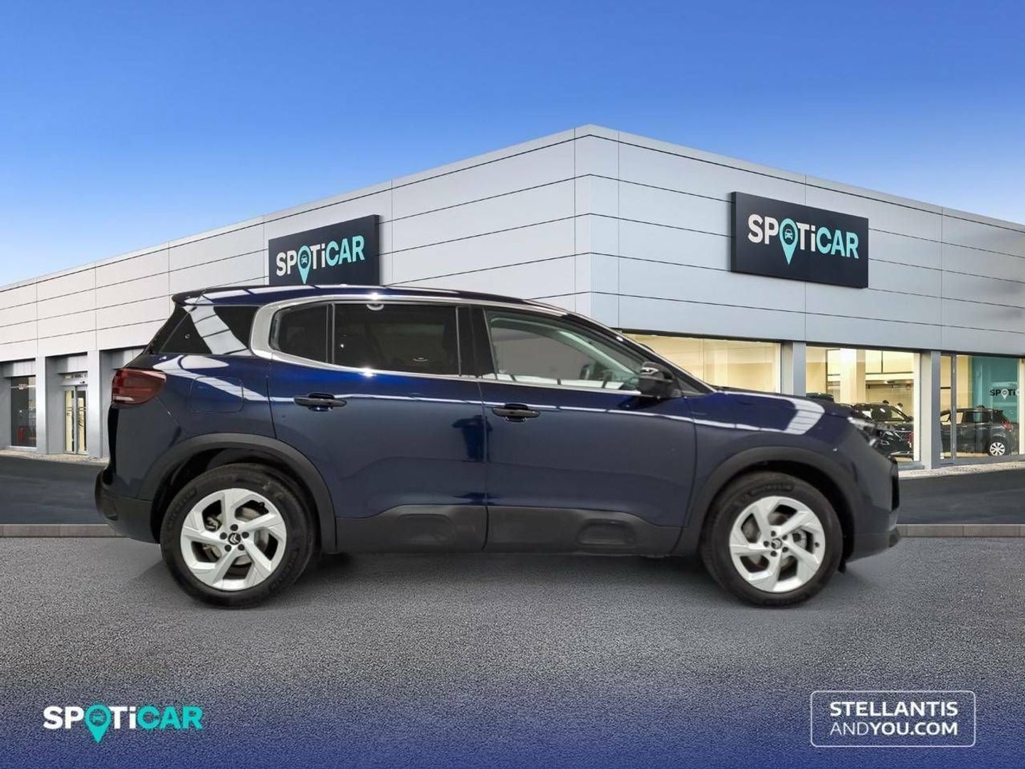 Citroen C5 Aircross PureTech 130 S&S Plus 96 kW (131 CV)