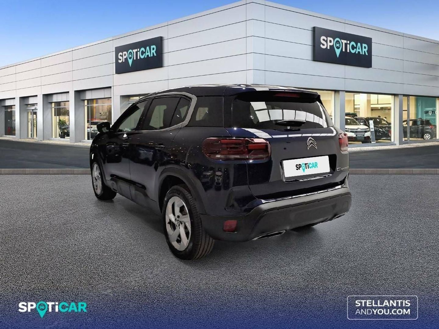 Citroen C5 Aircross PureTech 130 S&S Plus 96 kW (131 CV)