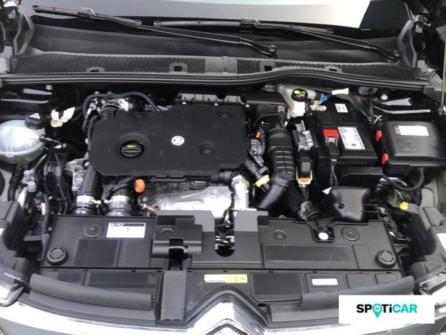 Citroen C4 BlueHDi 130 S&S Shine EAT8 96 kW (130 CV) Negro SUV