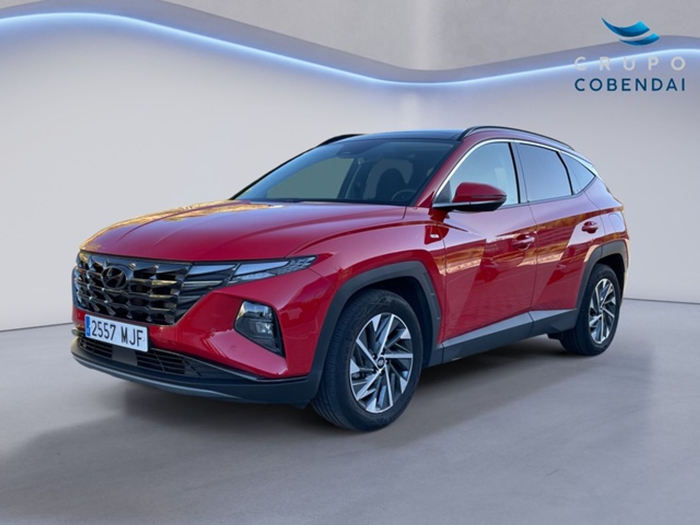 Hyundai Tucson 1.6 CRDI 48V Tecno Sky DCT 100 kW (136 CV) Rojo SUV