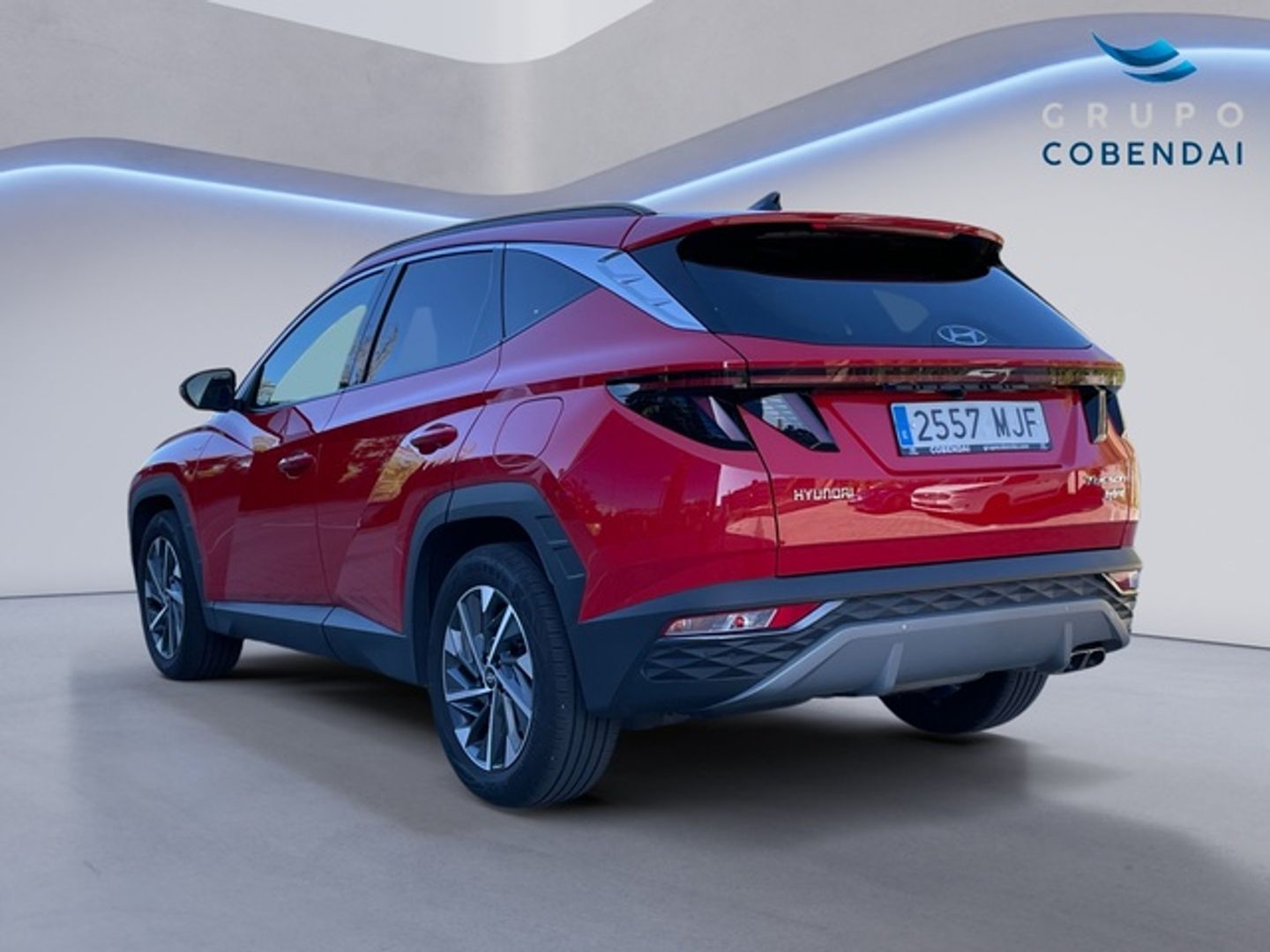 Hyundai Tucson 1.6 CRDI 48V Tecno Sky DCT 100 kW (136 CV)