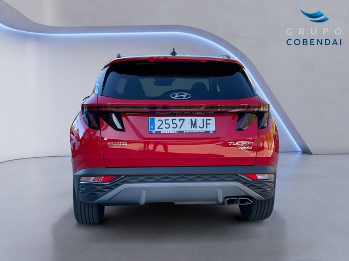 Hyundai Tucson 1.6 CRDI 48V Tecno Sky DCT 100 kW (136 CV)