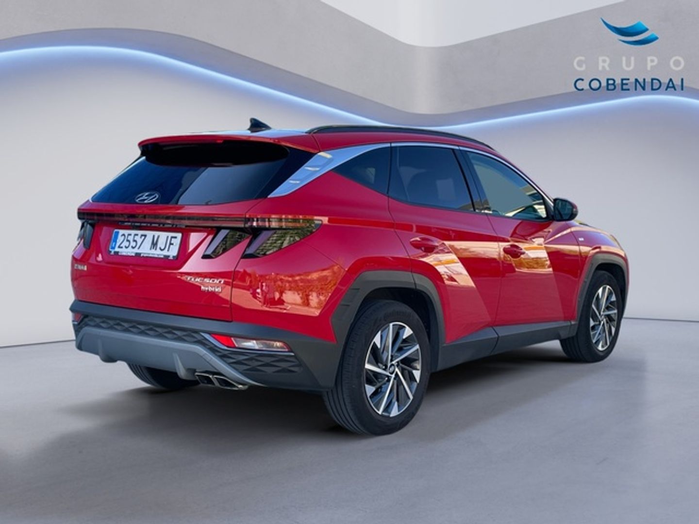 Hyundai Tucson 1.6 CRDI 48V Tecno Sky DCT 100 kW (136 CV)