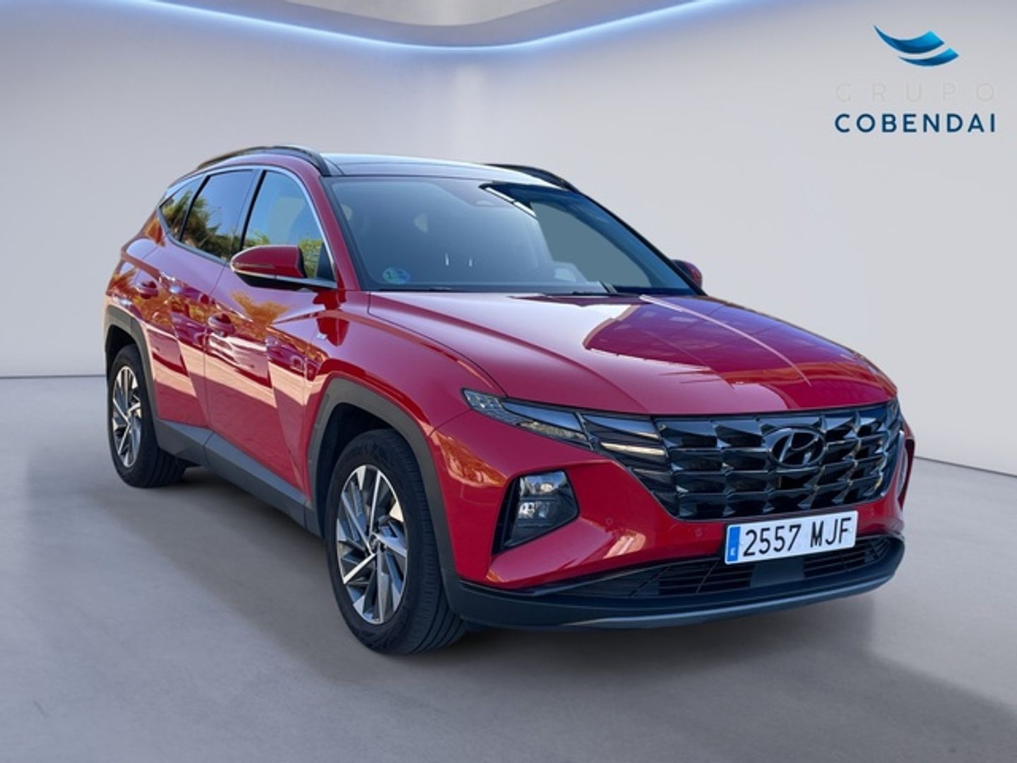 Hyundai Tucson 1.6 CRDI 48V Tecno Sky DCT 100 kW (136 CV)