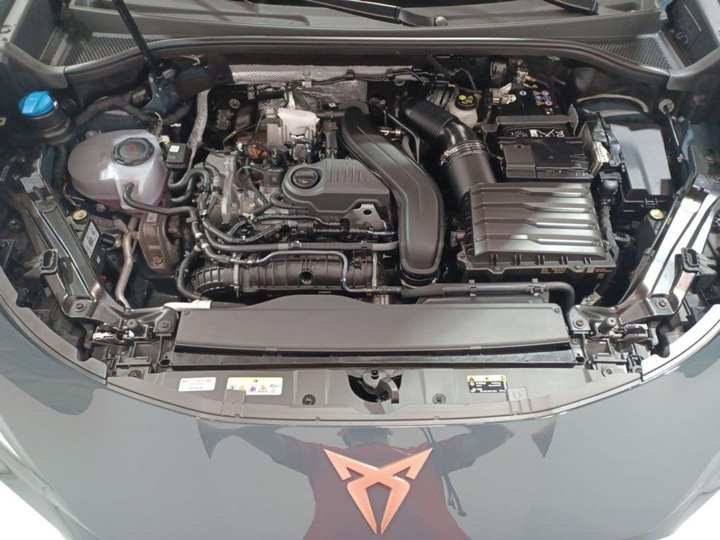 CUPRA Terramar 1.5 eTSI DSG 110 kW (150 CV)