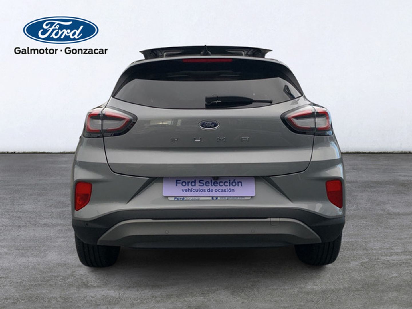 Ford Puma 1.0 EcoBoost MHEV Titanium X Auto 114 kW (155 CV)