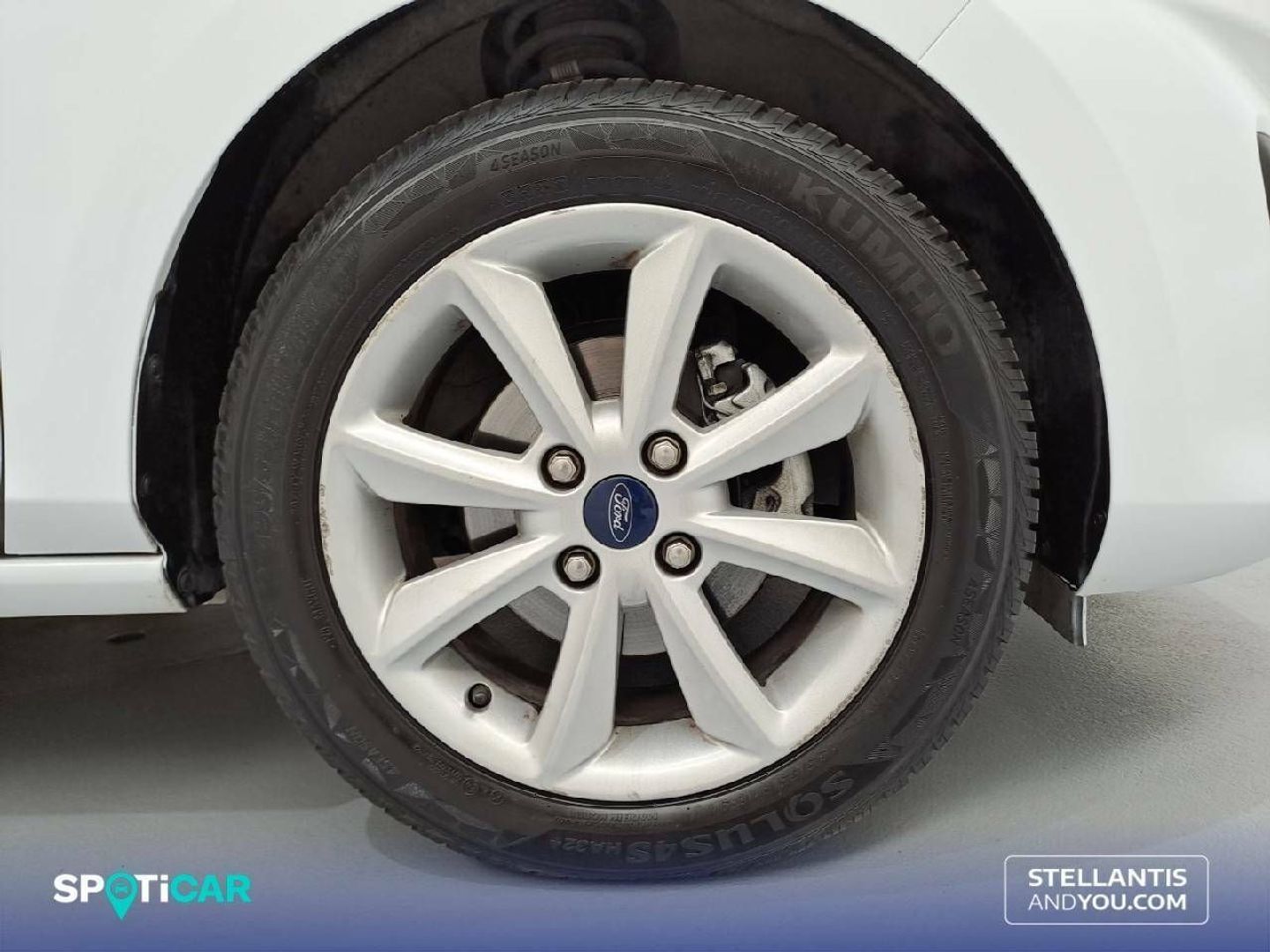 Ford Fiesta 1.0 EcoBoost Trend 74 kW (100 CV)