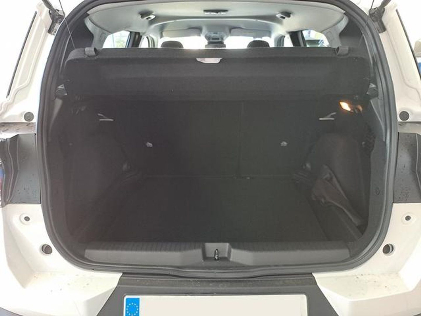 Citroen C3 Aircross PureTech 100 S&S Plus 74 kW (100 CV)