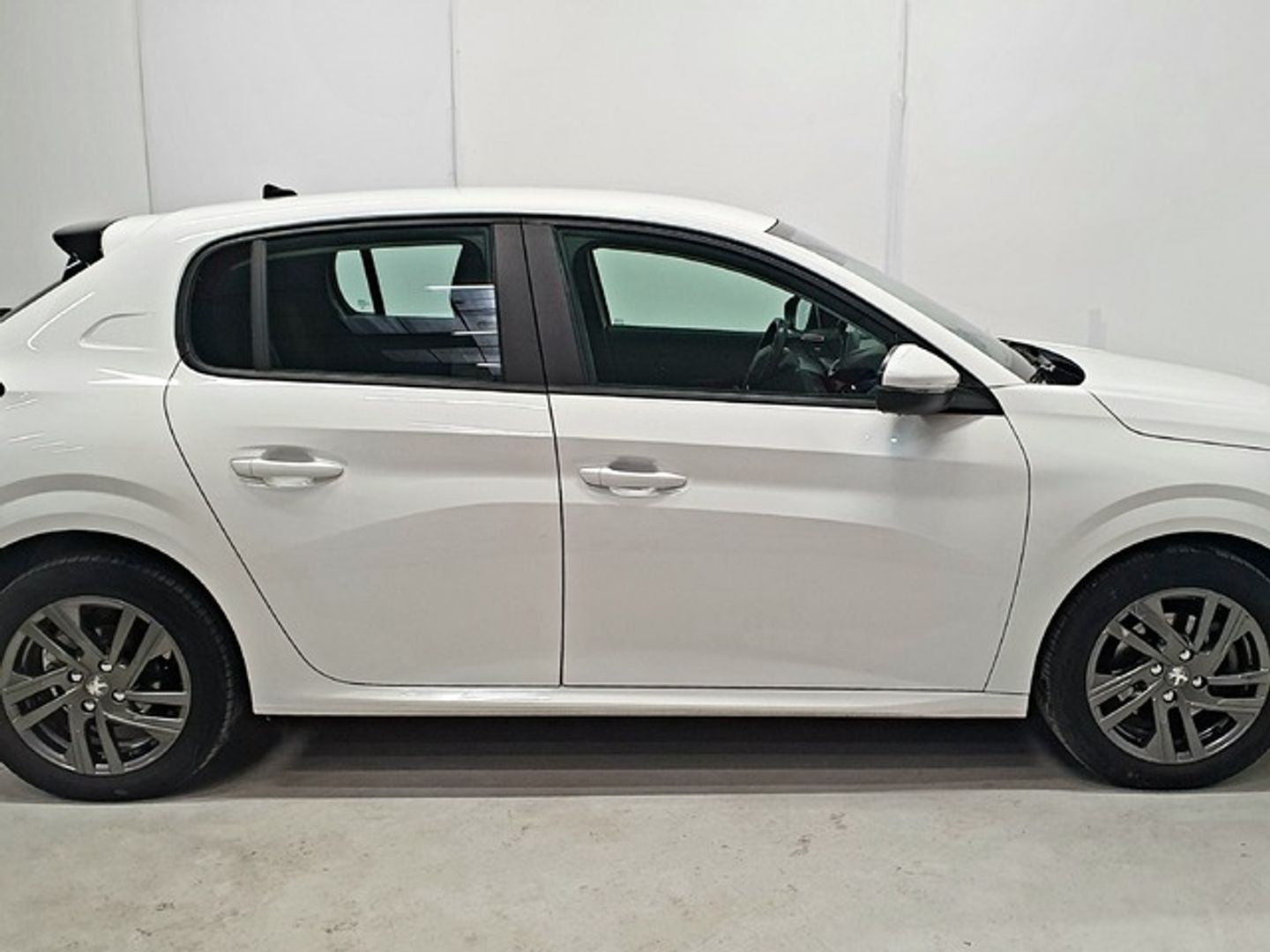 Peugeot 208 PureTech 100 Active Pack 75 kW (100 CV)
