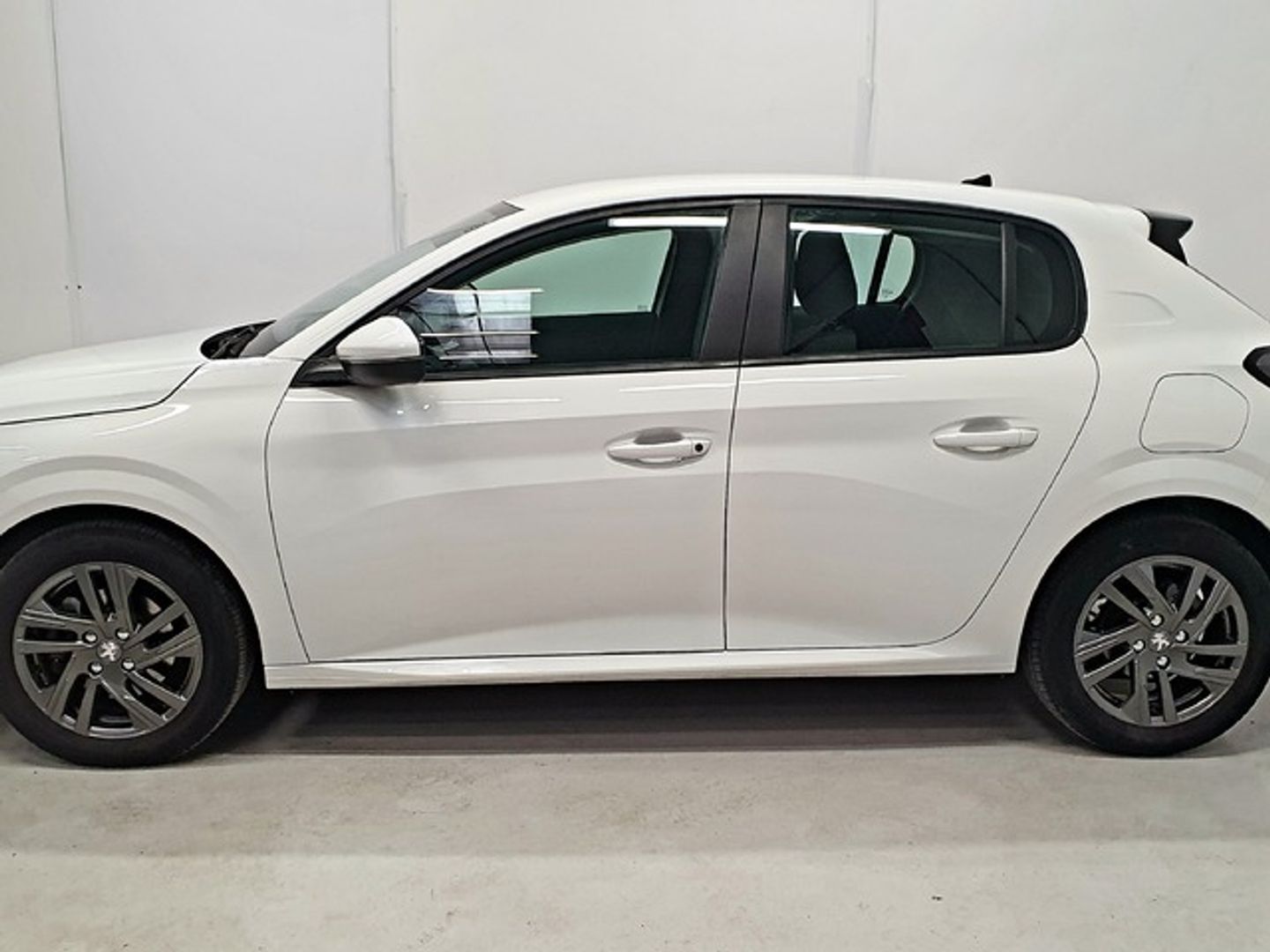 Peugeot 208 PureTech 100 Active Pack 75 kW (100 CV)