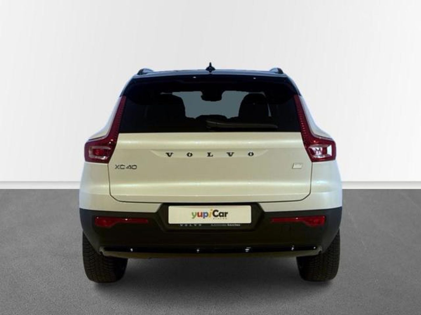 Volvo XC40 Recharge Plus Auto 170 kW (231 CV)