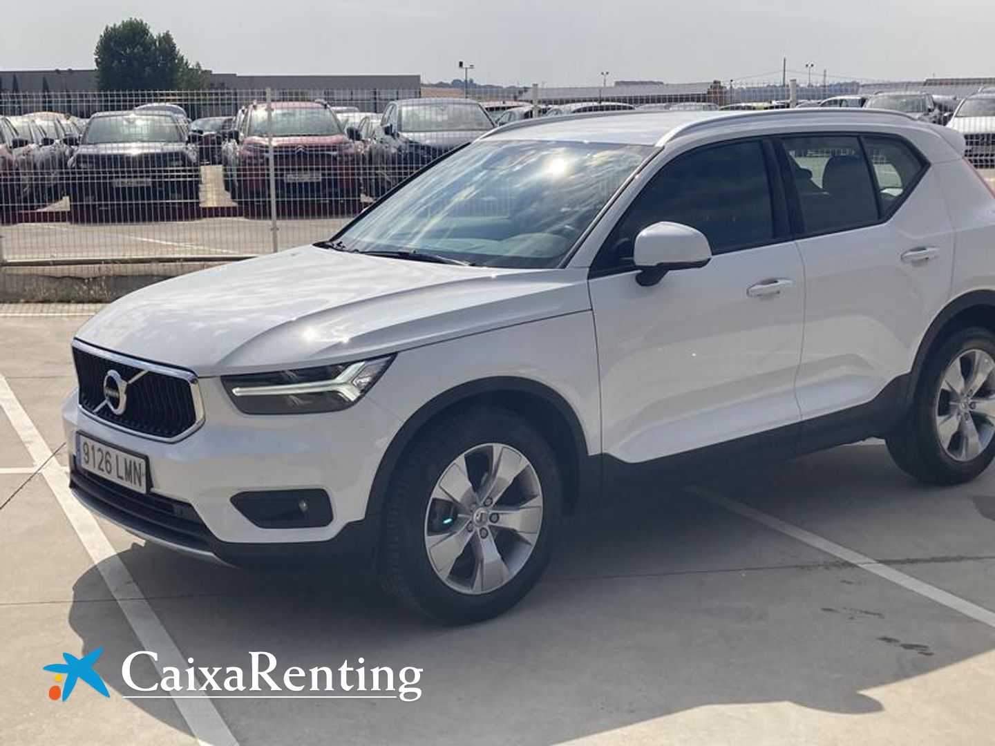 Volvo XC40 T3 Business Plus Auto 120 kW (163 CV) Blanco SUV