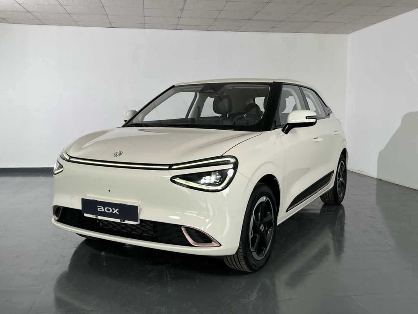 Dongfeng Box Plus 42Kw 70 kW (95 CV)