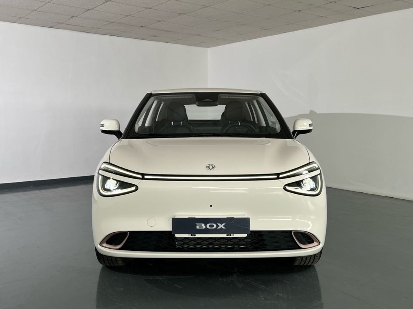 Dongfeng Box Plus 42Kw 70 kW (95 CV)