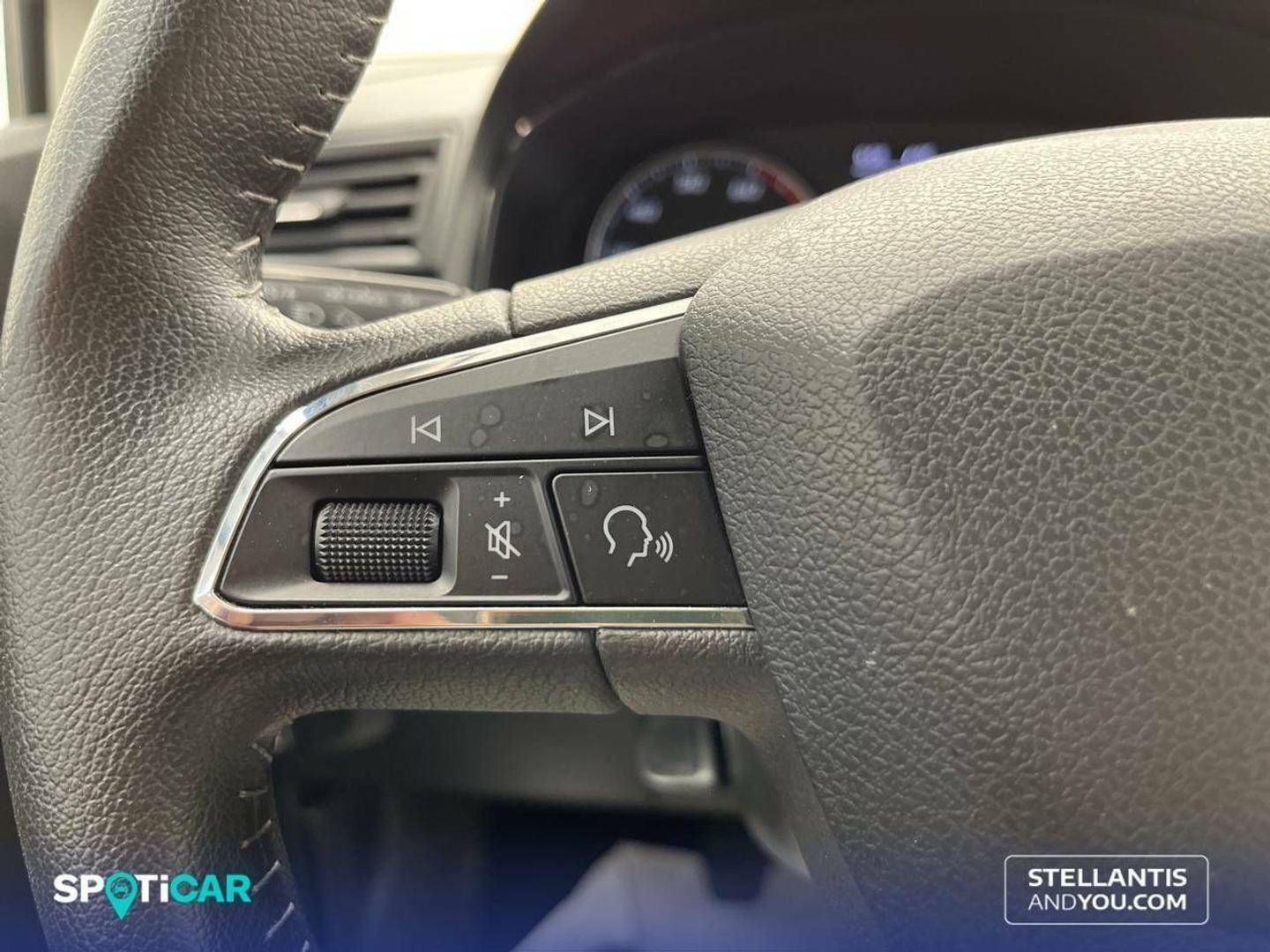 SEAT Ibiza 1.0 TGI Style Go Navi 66 kW (90 CV)