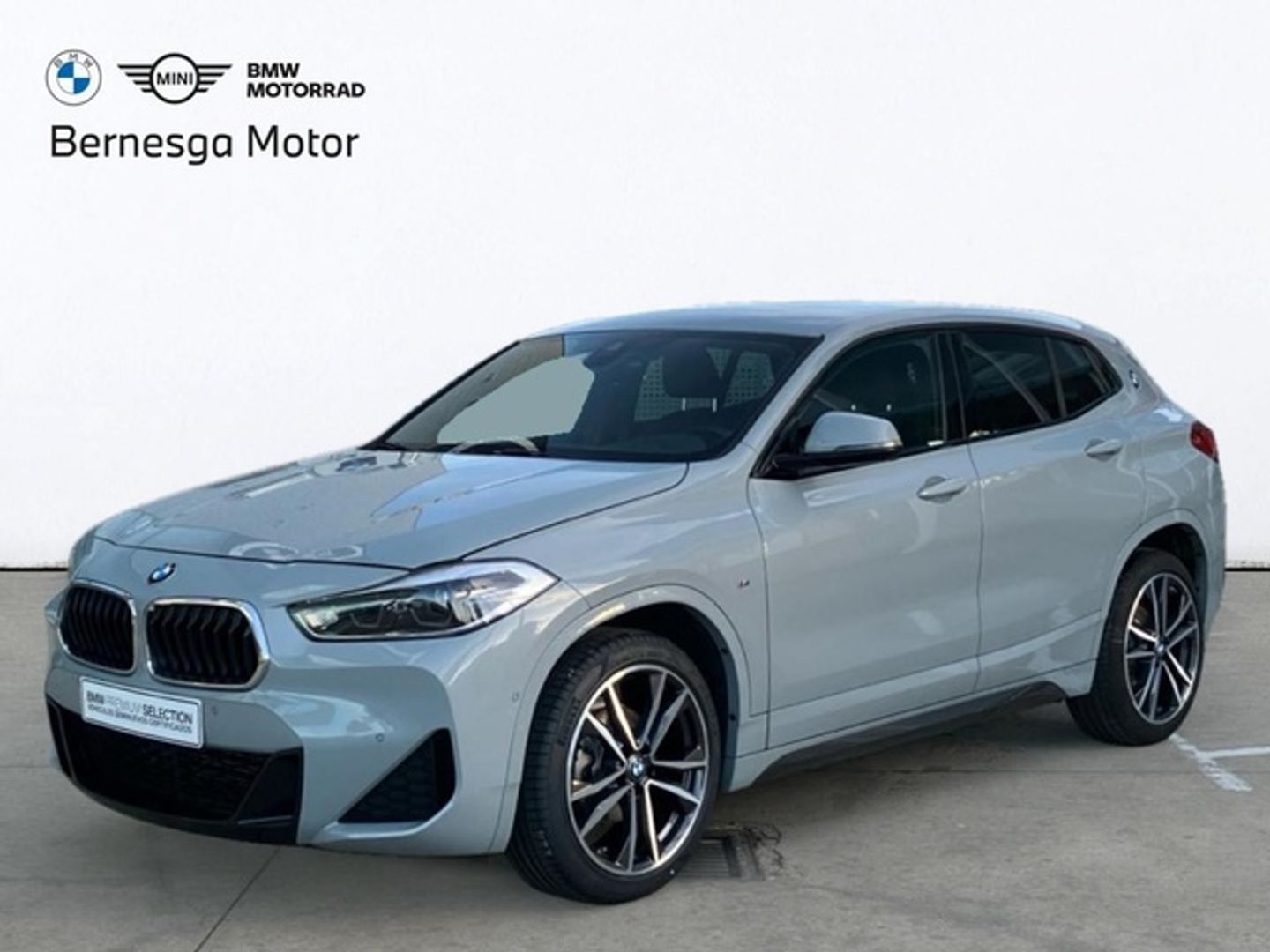 BMW X2 sDrive16d 85 kW (116 CV) Gris SUV