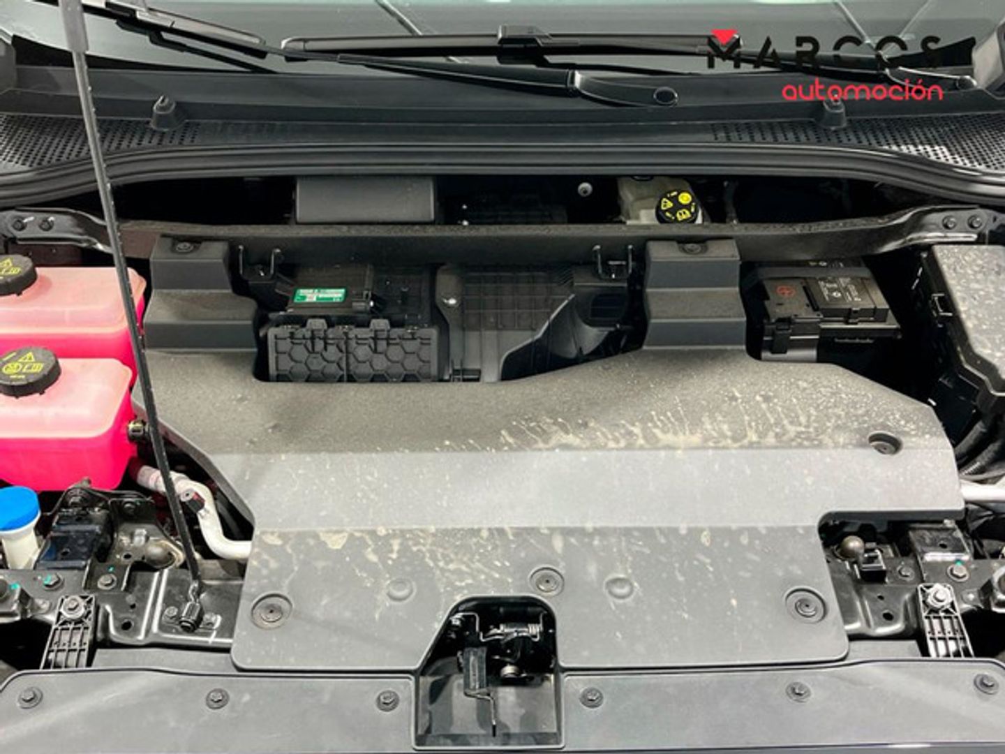 MG MG4 64kWh Luxury 150 kW (204 CV)